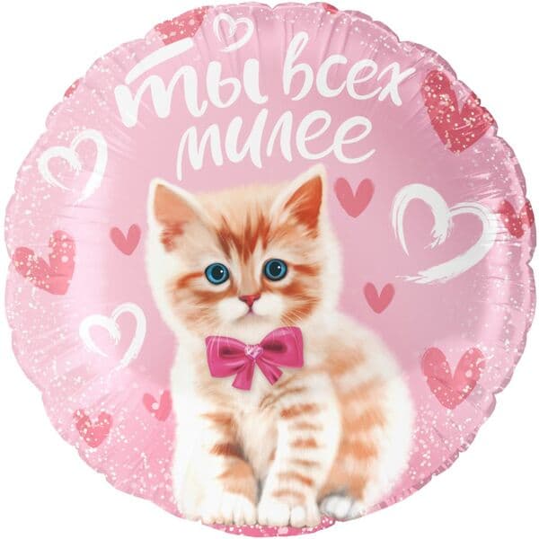 Круг ДБ «Ты всех милее (котенок), Розовый» 18″