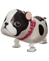 hf-f-sobaka-buldog-image-0