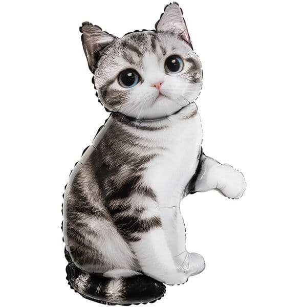 F «Серый Котенок»