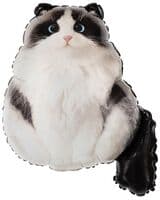 f-pushistyy-kot-image-0